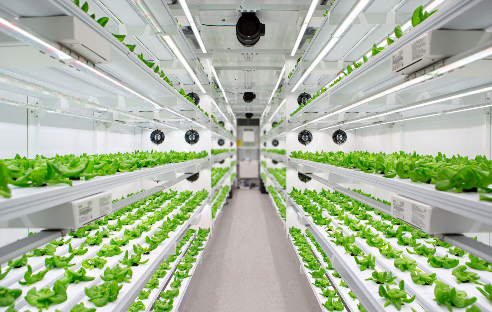 Vertical farming – a new path to sustainability - Hanna Instruments Africa