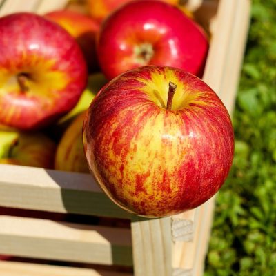 apple-gdf1e76f5d_1920