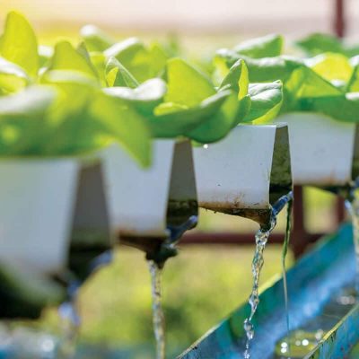 hs-hydroponics